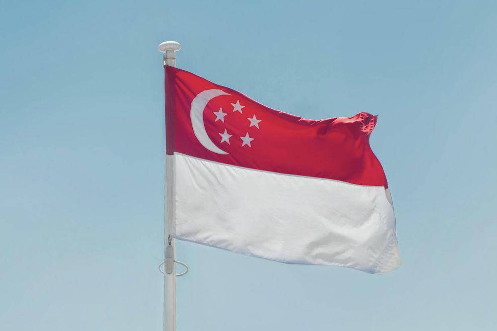 Bendera Singapura (pexels.com/aboodi vesakaran)