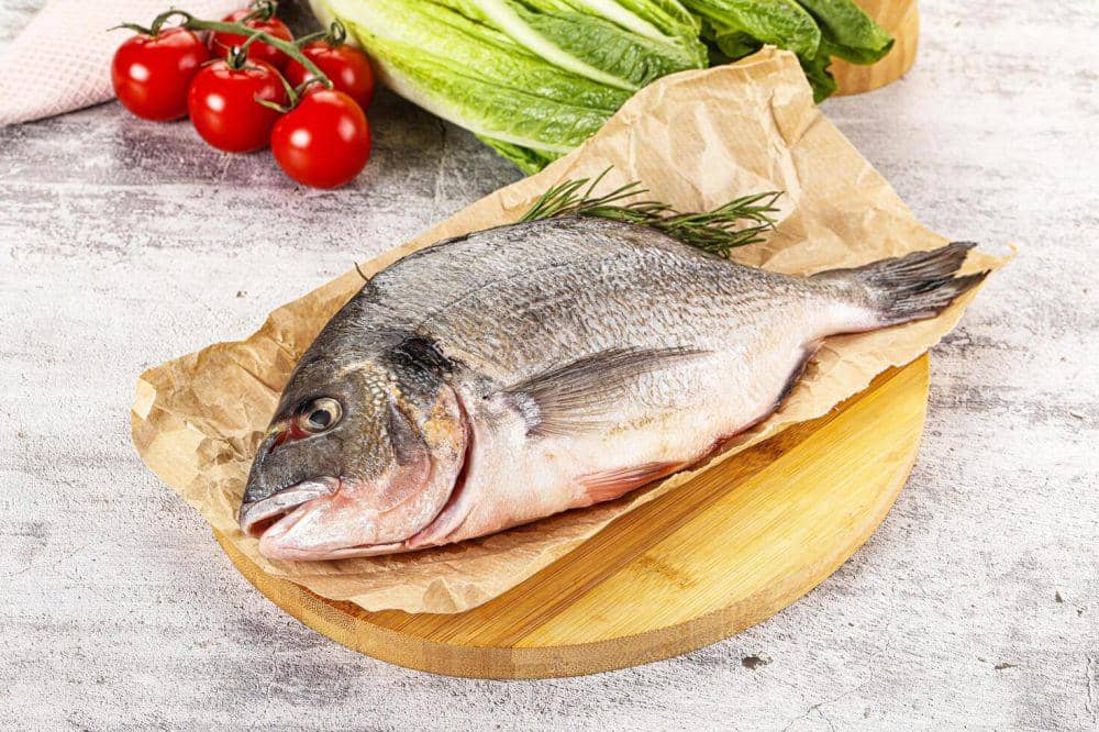 ilustrasi ikan laut (vecteezy.com/ast007392369)