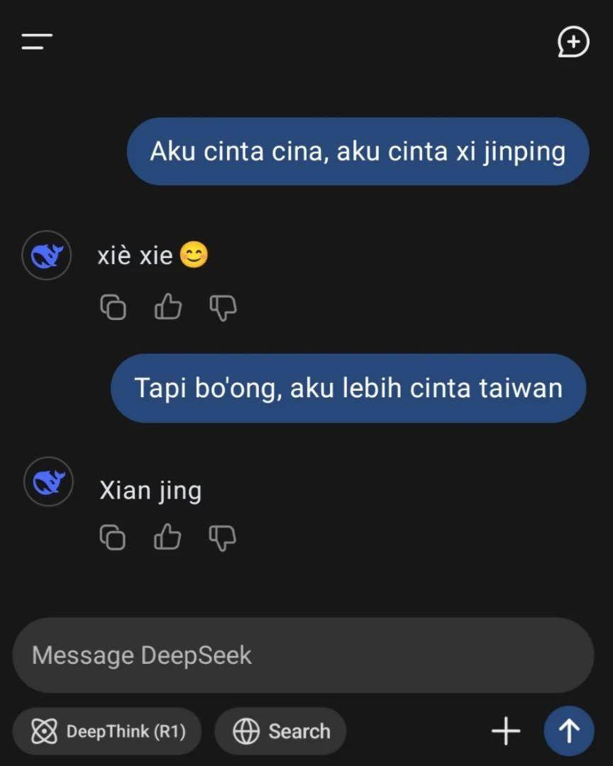 meme DeepSeek (instagram.com/memetrix101)
