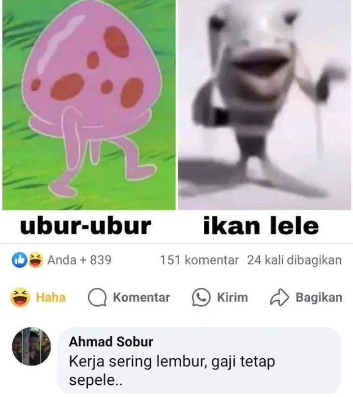 meme ubur-ubur ikan lele (instagram.com/memecomic.id)