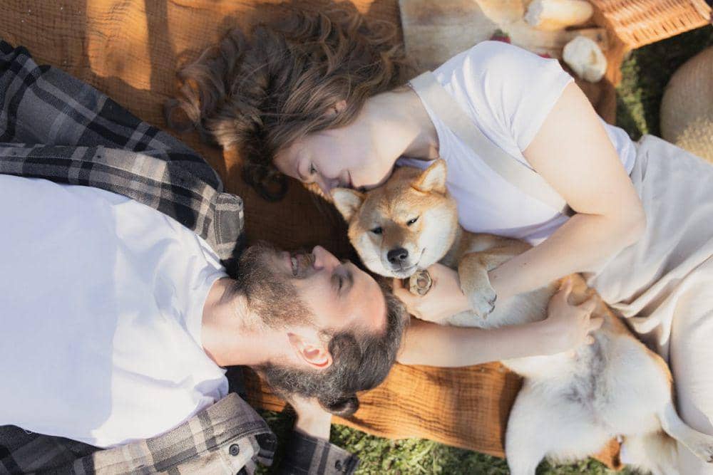 Piknik bersama pasangan dan hewan peliharaan (pexels.com/Yaroslav Shuraev)