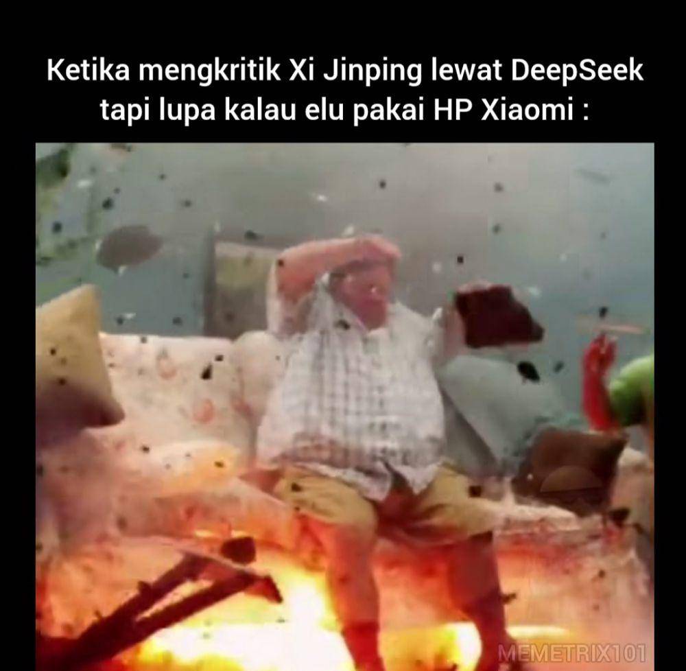 meme DeepSeek (instagram.com/memetrix101)