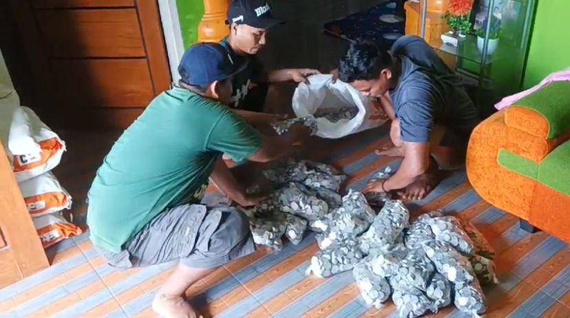 Koin yang dikumpulkan dari hasil menabung (IDN Times/Fatimah)