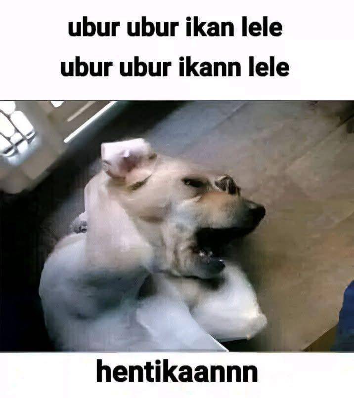 meme ubur-ubur ikan lele (x.com/kegblgnunfaedh)