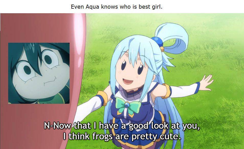 potret meme Tsuyu Asui (reddit.com/user/TravisFalco)