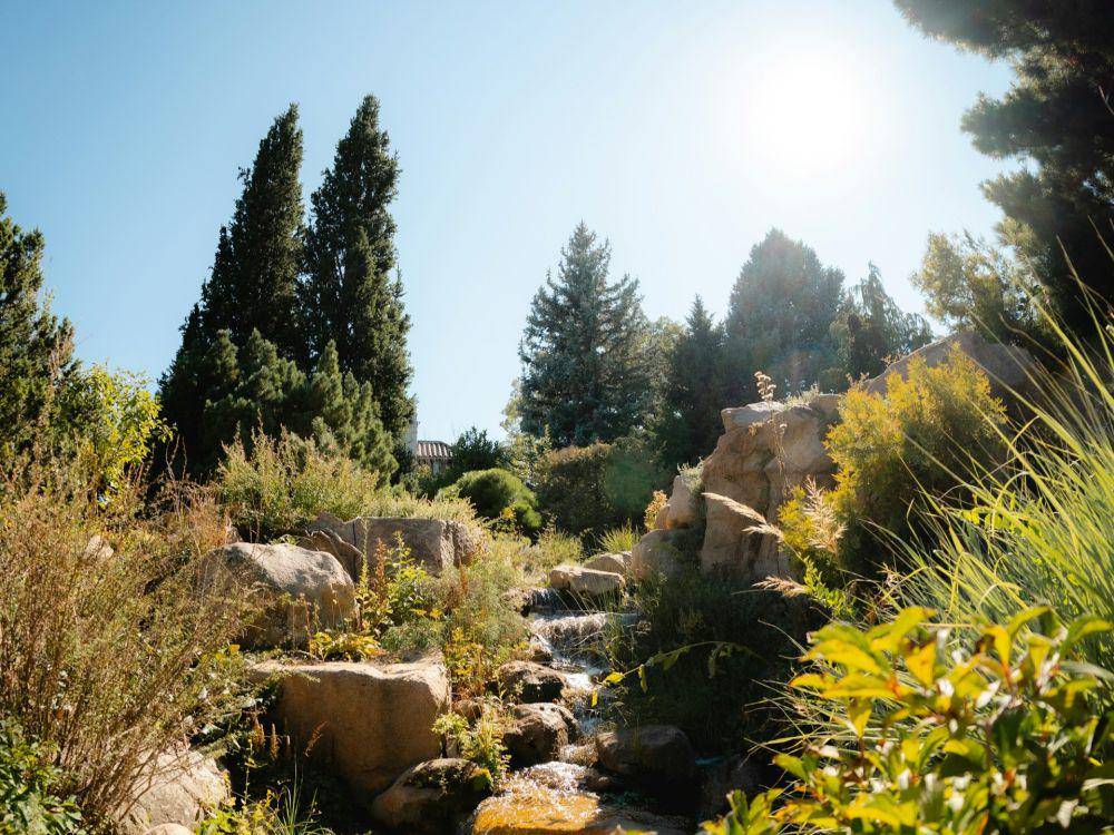 Denver Botanic Gardens (unsplash.com/Evan Strock)