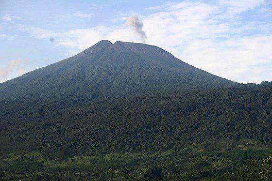 Ilustrasi Gunung Slamet (https://id.wikipedia.org/)