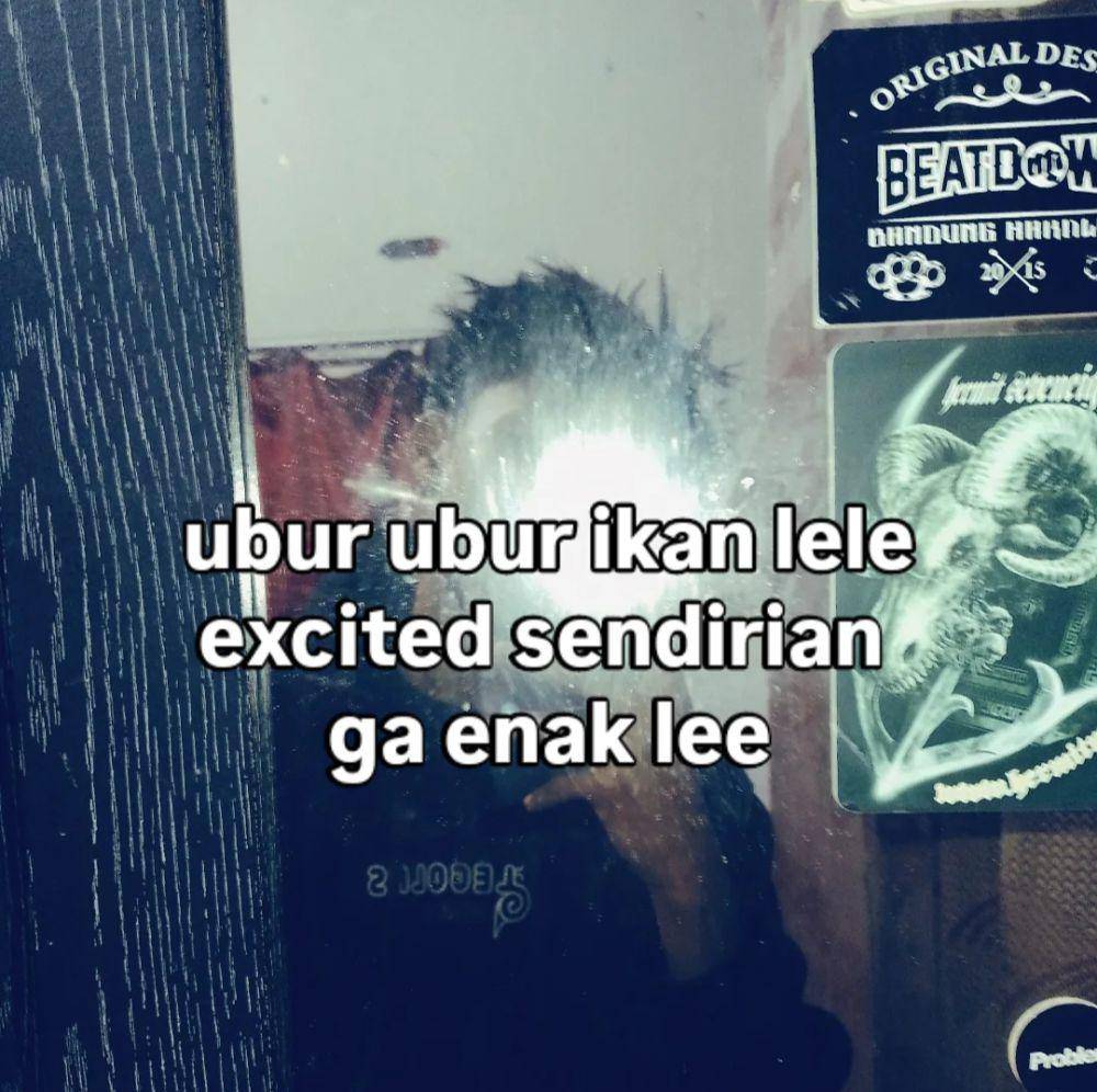 meme ubur-ubur ikan lele (instagram.com/pbrn.story20)