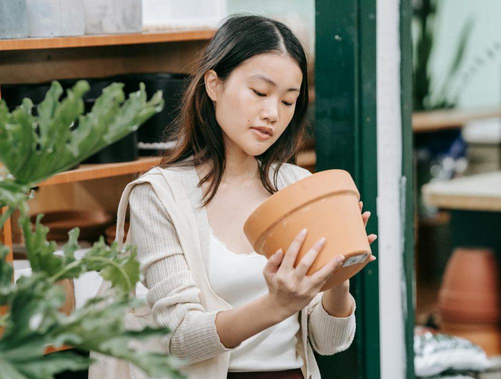 5 Tips Memilih Pot yang Cocok Saat Musim Hujan, Jangan Salah