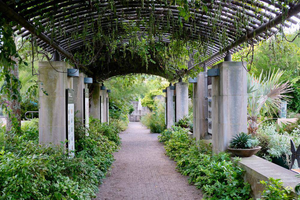 U.S Botanic Garden (unsplash.com/Sara Cottle)