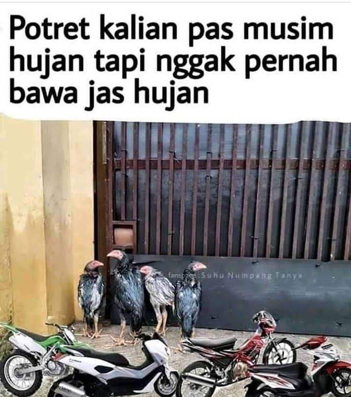 Meme hujan (instagram.com/moodbooster.rill)