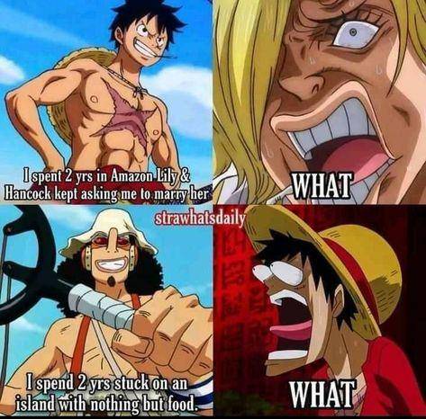 potret meme Amazon Lily Arc (reddit.com/r/MemePiece)