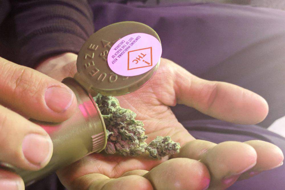 ilustrasi ganja medis (commons.wikimedia.org/Cannabis Tours)