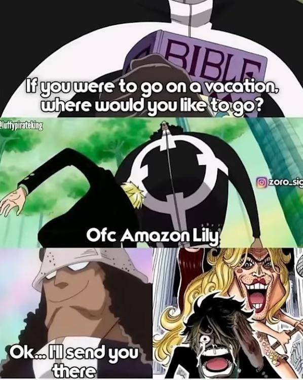 potret meme Amazon Lily Arc (reddit.com/user/Ambitious_Tie5981)