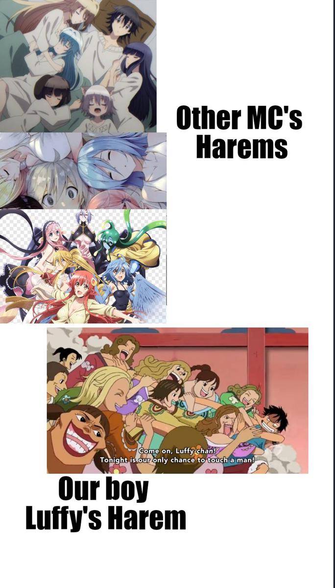 potret meme Amazon Lily Arc (reddit.com/user/Little_Ad_6903)