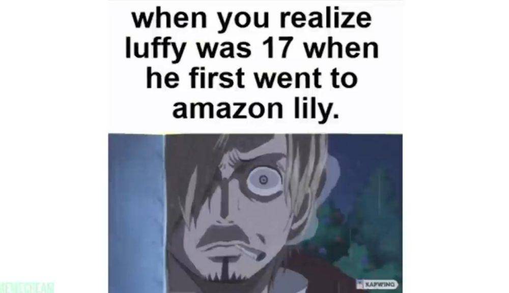 potret meme Amazon Lily Arc (reddit.com/user/Battery_Eater02)