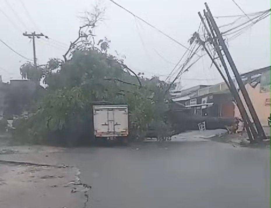 Hujan Deras dan Angin Kencang di Balam, Pohon Tumbang Timpa Mobil