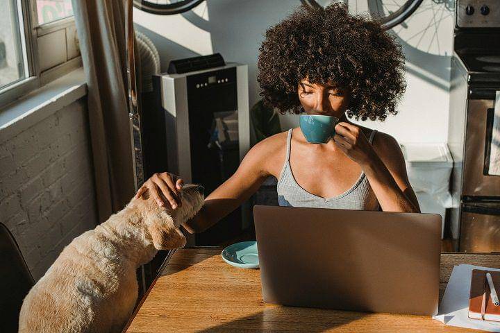 ilustrasi remote working