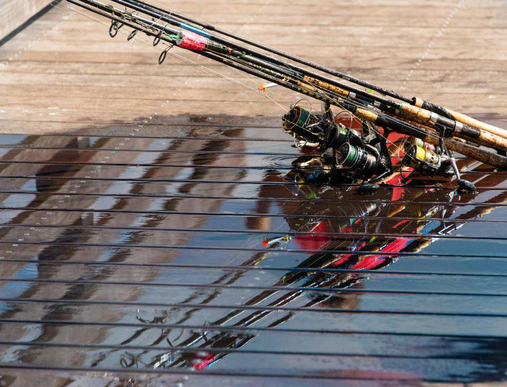 Ilustrasi beberapa alat pancing (unsplash.com/@jcorl)