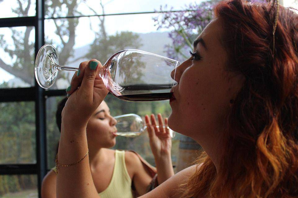 Potret perempuan minum wine (pixabay.com/eagletonc)