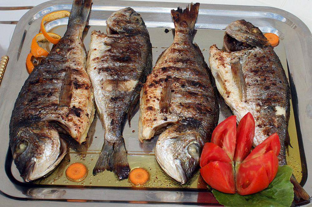 Ilustrasi ikan bakar (Pixabay/armennano)