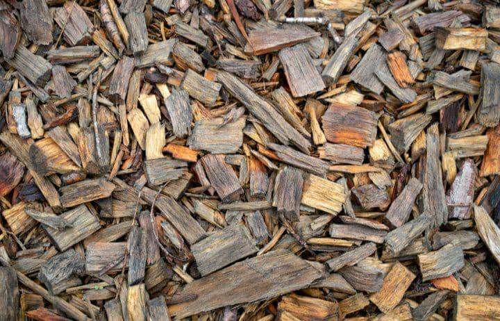 Ilustrasi biomassa (pexels.com/Vladimir Srajber)