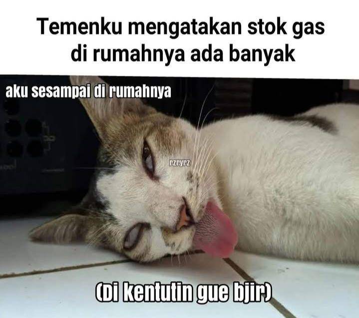 meme gas melon (instagram.com/lawakscience)