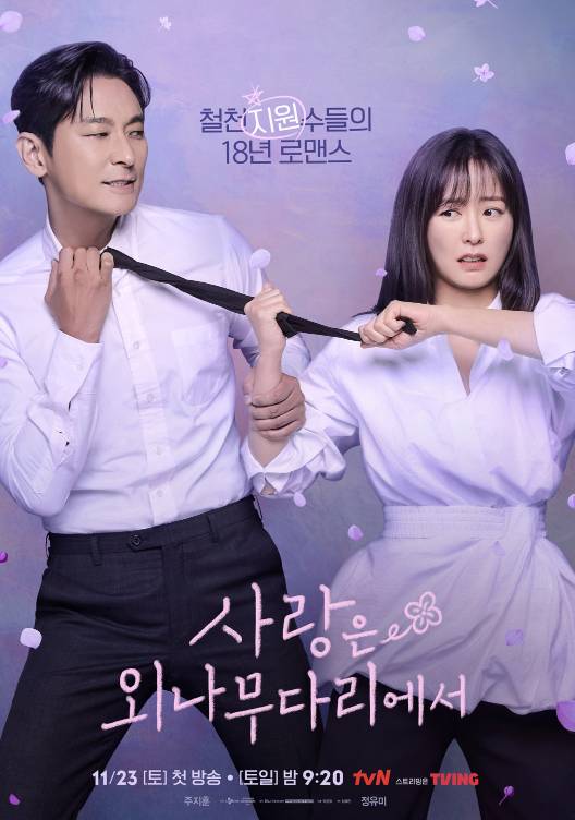 poster drama Love Your Enemy (dok. tvN/Love Your Enemy)