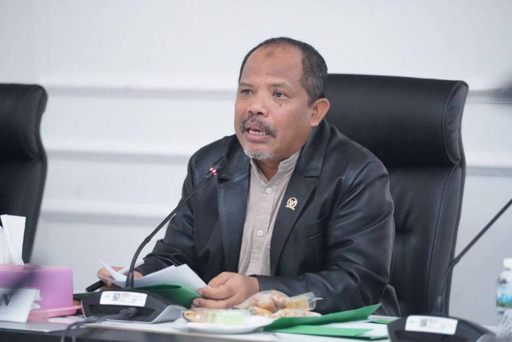 Anggota DPR, Johan Rosihan (x.com/RosihanJohan)