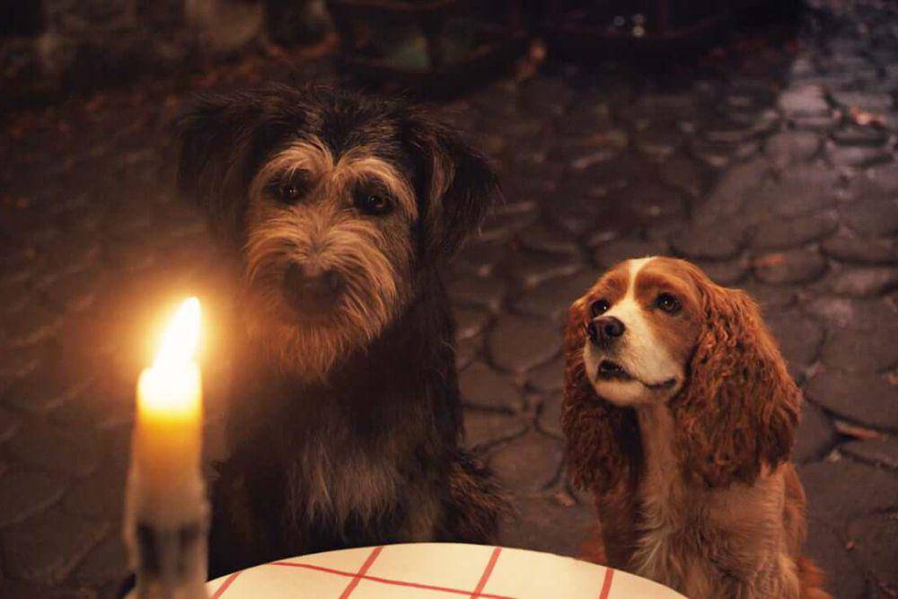 adegan dalam film Lady and the Tramp. (dok. Walt Disney Pictures/Lady and the Tramp)