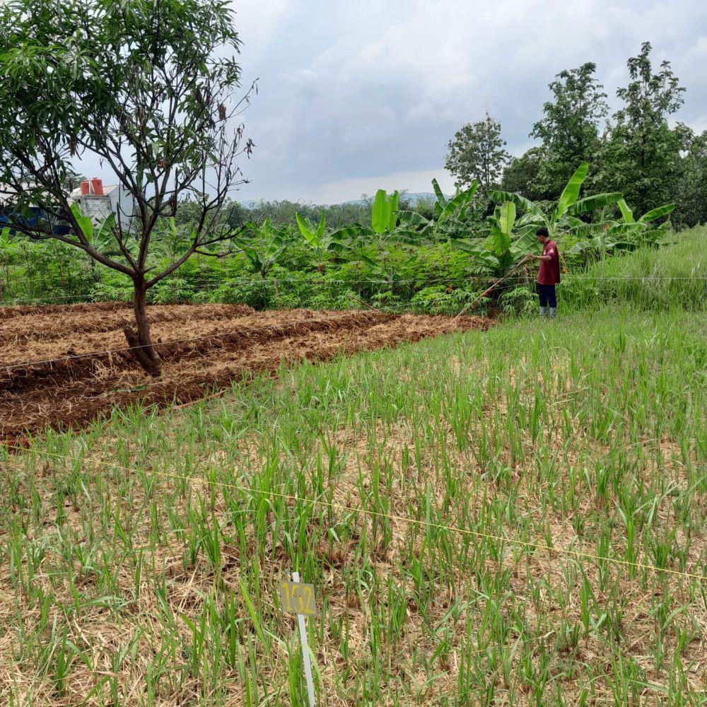Puluhan Warga Majalengka Tertipu Jual Beli Lahan Kavling