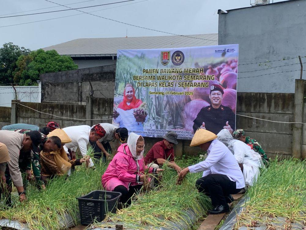 Dukung Asta Cita, Wali Kota Semarang Panen Bawang di Lapas Kedungpane