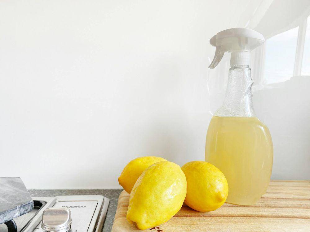 ilustrasi cuka dan lemon (unsplash.com/Precious Plastic Melbourne)