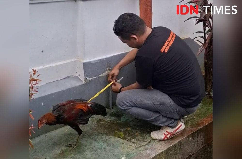 Satuan Siswa Pelajar dan Mahasiswa (Sapma) Pemuda Pancasila (PP) Kota Makassar membawa ayam jantan saat menggelar aksi unjuk rasa di depan Kantor Pengadilan Negeri (PN) Makassar, Kamis (6/2/2025). IDN Times/Darsil Yahya