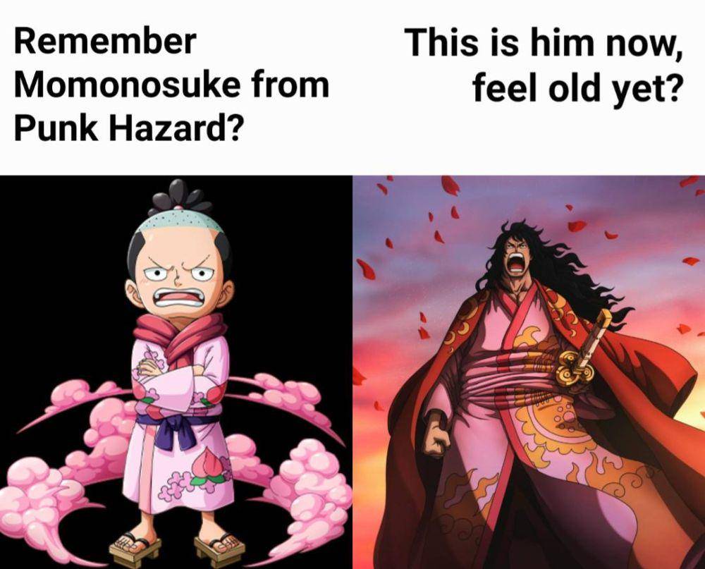 potret meme Momonosuke (reddit.com/user/CyborgJaydon)