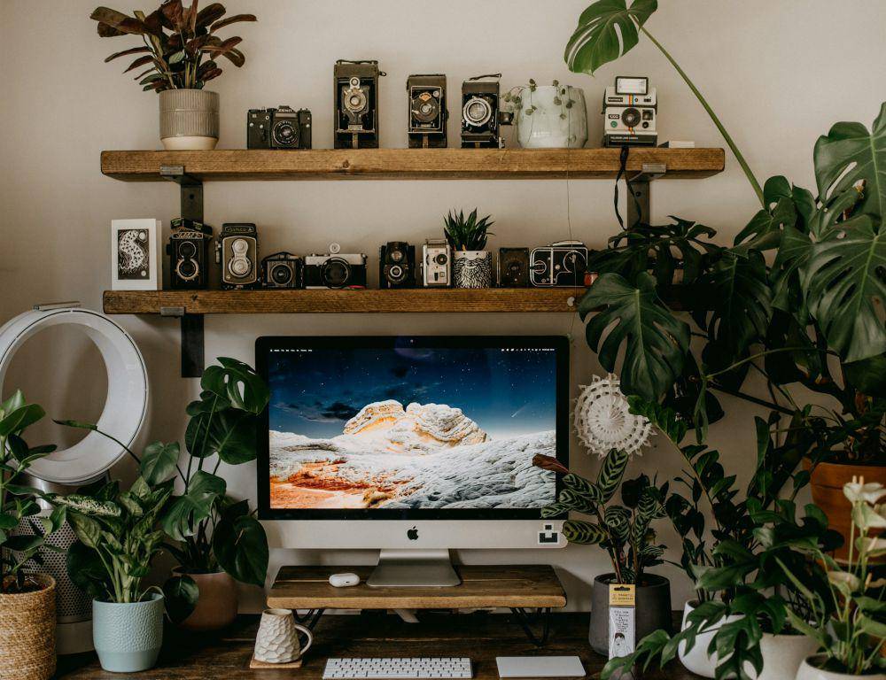 ilustrasi ruang kerja dengan dekorasi tanaman Monstera (unsplash.com/Annie Spratt)
