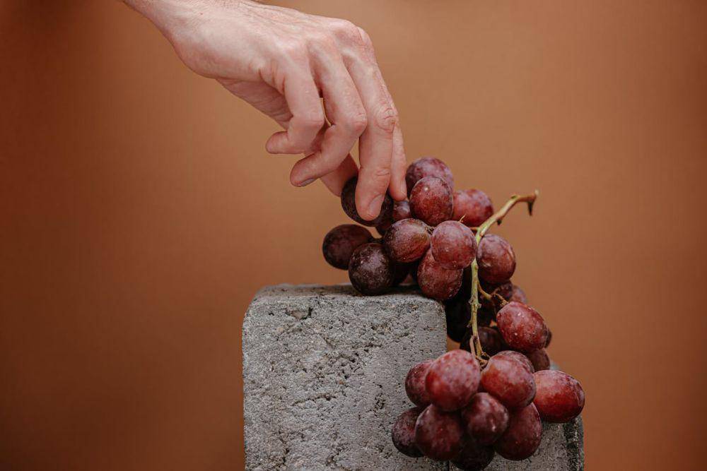 Ilustrasi buah anggur (pexels.com/Cup of Couple)
