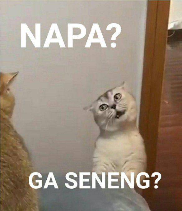Meme ketika emosi memuncak (x.com/Gerindra)