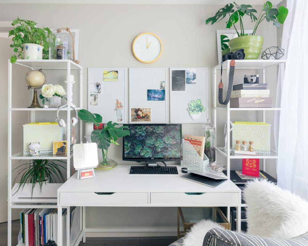 ilustrasi ruang kerja dengan dekorasi tanaman Monstera (unsplash.com/Slava Keyzman)