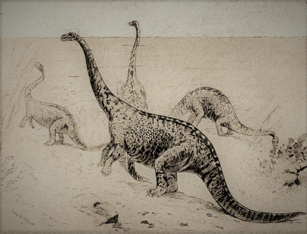 5 Fakta Amphicoelias, Dinosaurus Terbesar yang Pernah Hidup di Bumi
