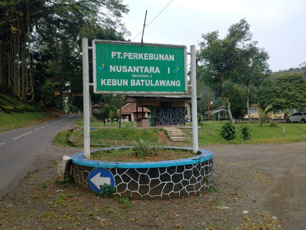 PTPN I Amankan Aset Negara di Kebun Batulawang dari Bangunan Liar
