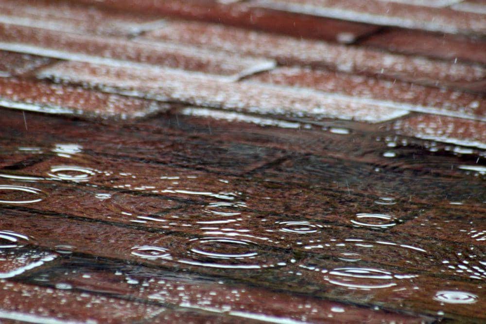 Ilustrasi hujan (pexels.com/JenaBackus)