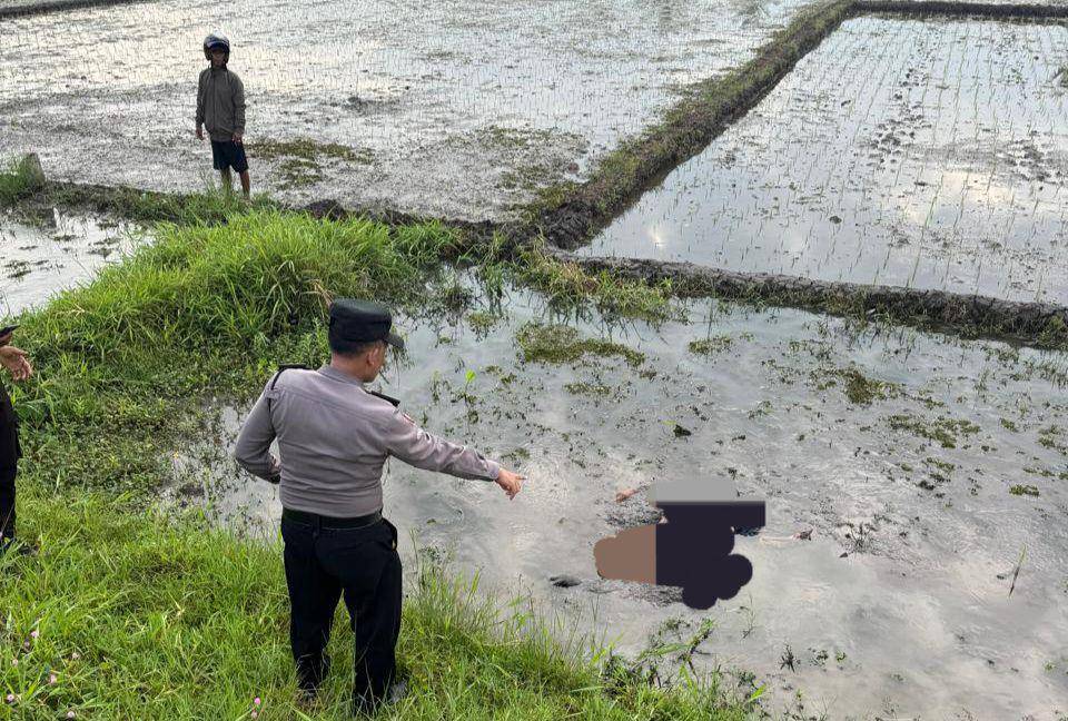 Evakuasi korban kecelakaan KA di Kecamatan Kepanjen, Kabupaten Malang. (Dok. Humas Polres Malang)