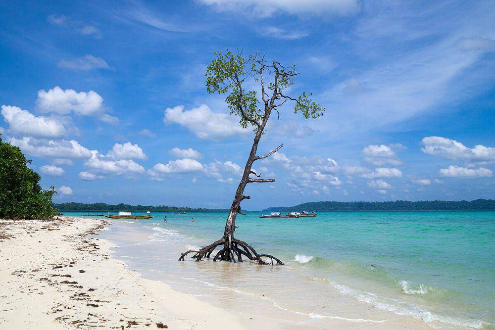 Pulau Havelock yang menjadi bagian dari Kepulauan Andaman. (commons.wikimedia.org/Vyacheslav Argenberg)