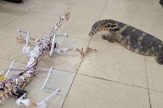 Keren, UGM dan Universitas Edinburgh Bikin Necrobot Biawak