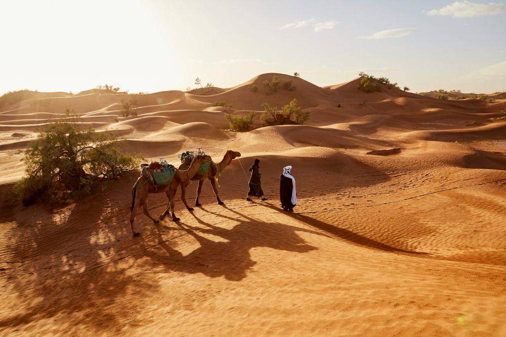 ilustrasi perjalanan Ibn Battuta (unsplash.com/Fabien Bazanegue)