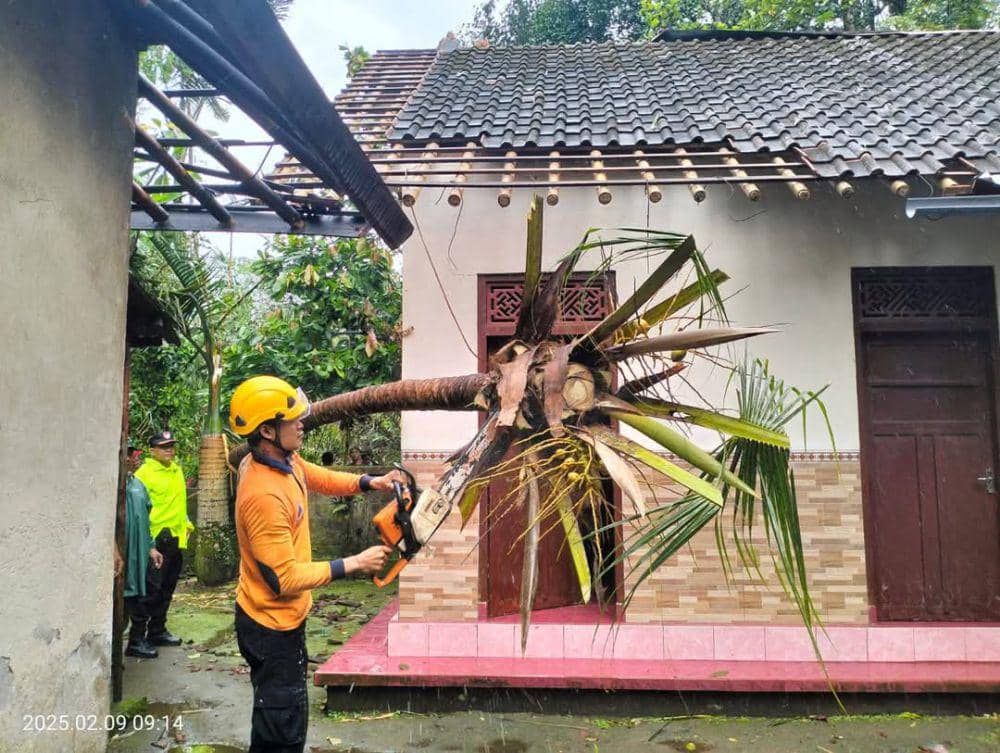 Petugas mengevakuasi pohon tumbang yang menimpa rumah warga. (Dok.Humas BPBD Karangasem)