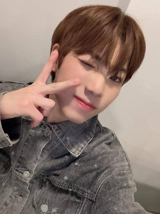 Andy (twitter.com/official_arrc)