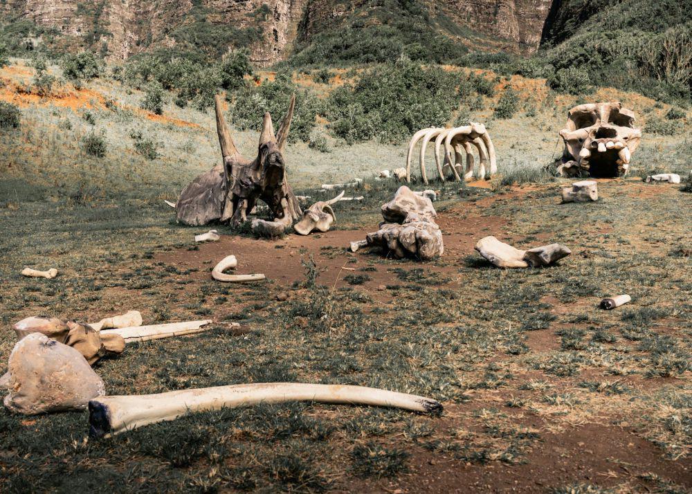 5 Lokasi Syuting Film Fantasi, Lanskapnya bak di Dunia Lain