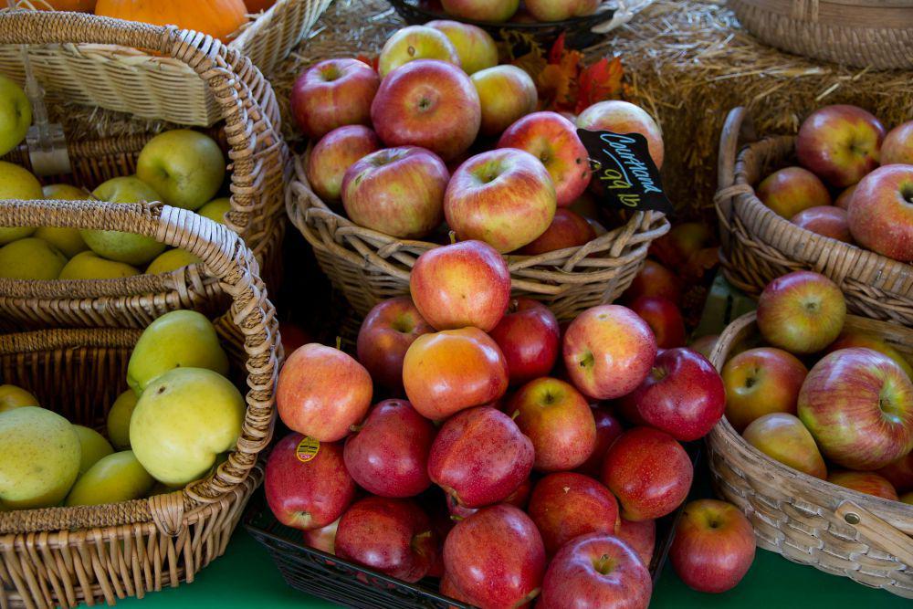 5 Alasan Apel Jadi Buah Tepat untuk Menurunkan Berat Badan